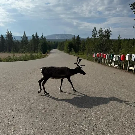 The Lakeview By Hilla * Äkäslompolo